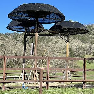 African Elephant Utilitrees