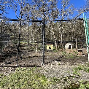 The zoo has 27 Cheetahs!