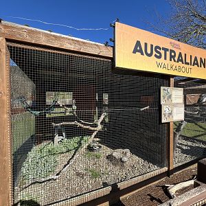 Red-tailed Hornbill + Kookaburra Aviaries
