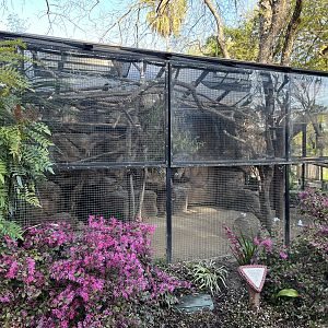 White-faced Saki/Sloth Exhibit