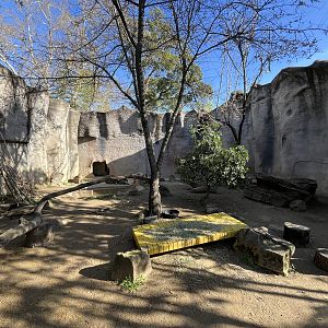 Capybara Exhibit