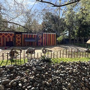 Galapagos Tortoise Exhibit
