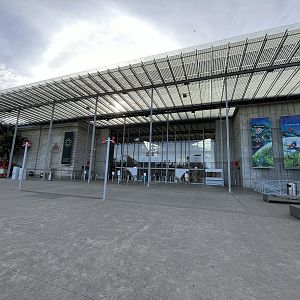 California Academy of Sciences