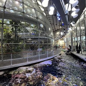 Rainforest Dome + Lagoon