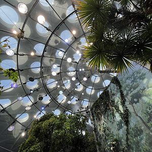 Rainforest Dome