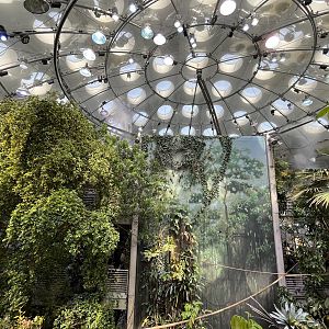 Rainforest Dome