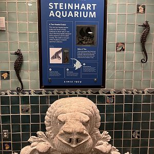 Steinhart Aquarium Artifacts