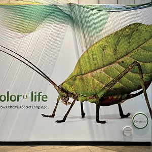 Color of Life Exhibit