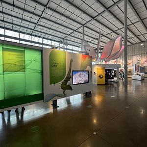 Color of Life Exhibit