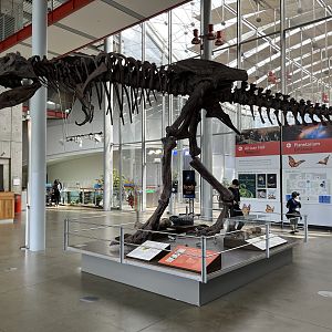 Academy Entrance Plaza