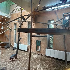 Zoo Braunschweig- mixed African species enclsoure