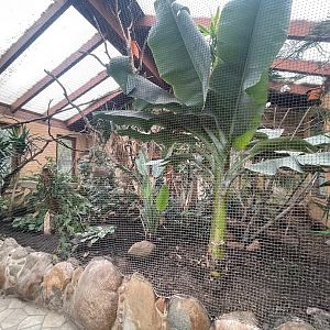 Zoo Braunschweig- primeval forest house- 2024