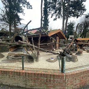 Zoo Braunschweig- opposum and urson enclosure- 2024