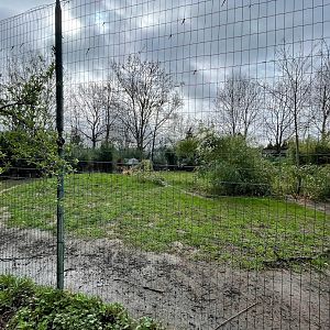 Zoo Braunschweig- one of three cheetah enclosures- 2024