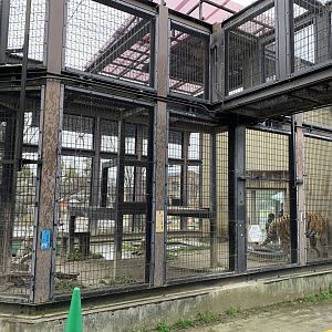 Tiger Cage