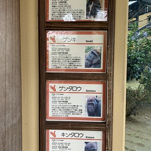 Gorilla Signs