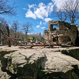 Renovated Brown Bear exhibit