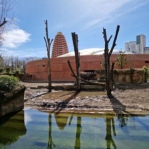 One of the four Indian Rhino/Visayan Warty Pig exhibits