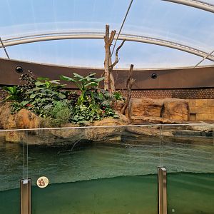 Rhino indoor exhibit