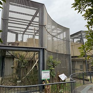 Brown Capuchin Enclosure