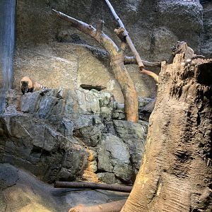 Gulf of Panama Exhibit