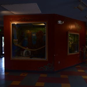 The Last Days of the Discovery House