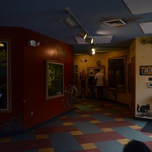The Last Days of the Discovery House
