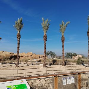 Midbarium - First view of the savannah with a view to the lion enclosure