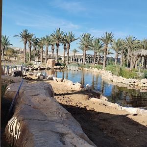 Midbarium - Hippopotamus 2