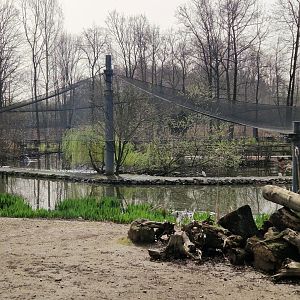 Flamingo Aviary, Limbach-Oberfrohna