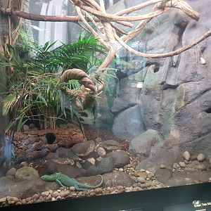 Green Tree Monitor Enclosure