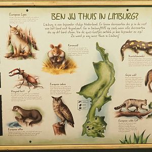 Limburg species sign, 2023-07-18