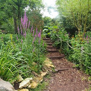 Adventure route in gardens, 2023-07-18