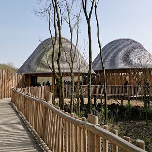 Giraffe feeding platform