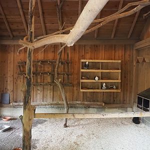Interior of the Mergelland chicken and Old Dutch gull pigeon barn, 2023-07-18