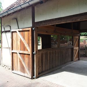 Miniature donkey barn, 2023-07-18