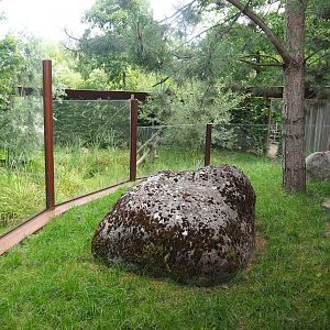 Hermann's tortoise outdoor paddock, with part of the Eurasian lynx exhibit behind it, 2023-07-18