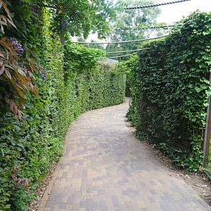 Walkway between Eurasian lynx and Barbary macaque exhibits, 2023-07-18