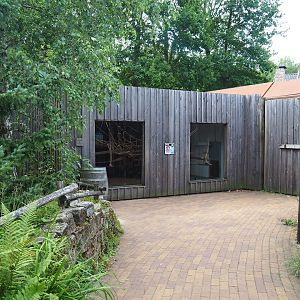 Barbary macaque holding building, 2023-07-18