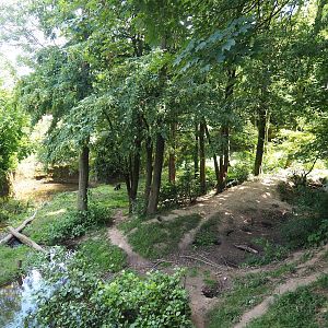 Wolverine exhibit, 2023-07-18