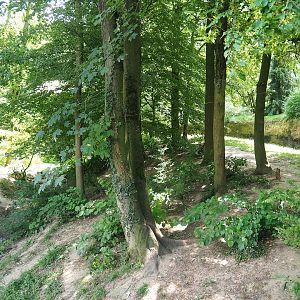 Wolverine exhibit, 2023-07-18