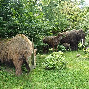 Ice Age animal replicas, 2023-07-18