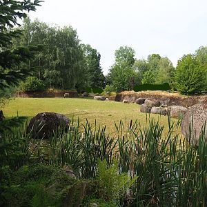 Wolverine-side part of the Eurasian forest reindeer exhibit (Former musk ox exhibit), 2023-07-18