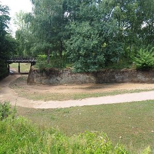 Eurasian forest reindeer exhibit - Connection between wolverine-side and pampas-side parts, 2022-08-20