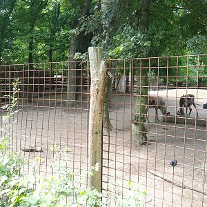 Pampas-side part of the Eurasian forest reindeer exhibit (Former musk ox exhibit), seen from the exit area of the zoo, 2023-07-18
