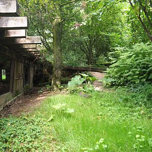 Part of Eurasian grey wolf exhibit and viewing tunnel, 2023-07-18