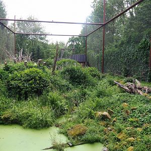 Alien species aviary, 2023-07-18