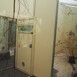 Indoor housing Sun conures, 2023-07-18