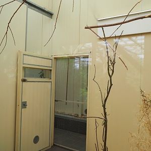 Indoor housing Sun conures, 2023-07-18