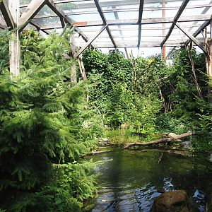 Sun conure aviary, 2023-07-18